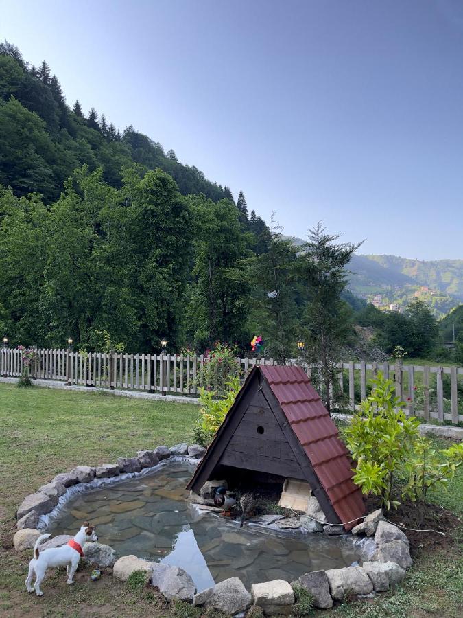 Dream River Exclusive Bungalow Rize Exterior photo